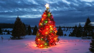 Northern Michigan Holiday Parades