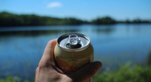 best canned beers michigan