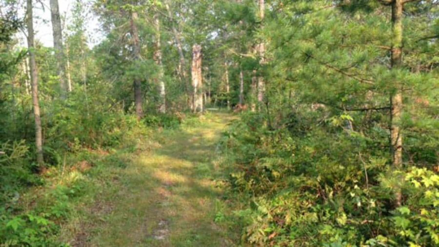 _tisdale_triangle_trail