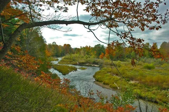 Reffitt-Nature-Preserve