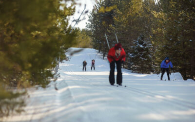 Go Cross-Country Skiing at Forbush Corner Near Gaylord