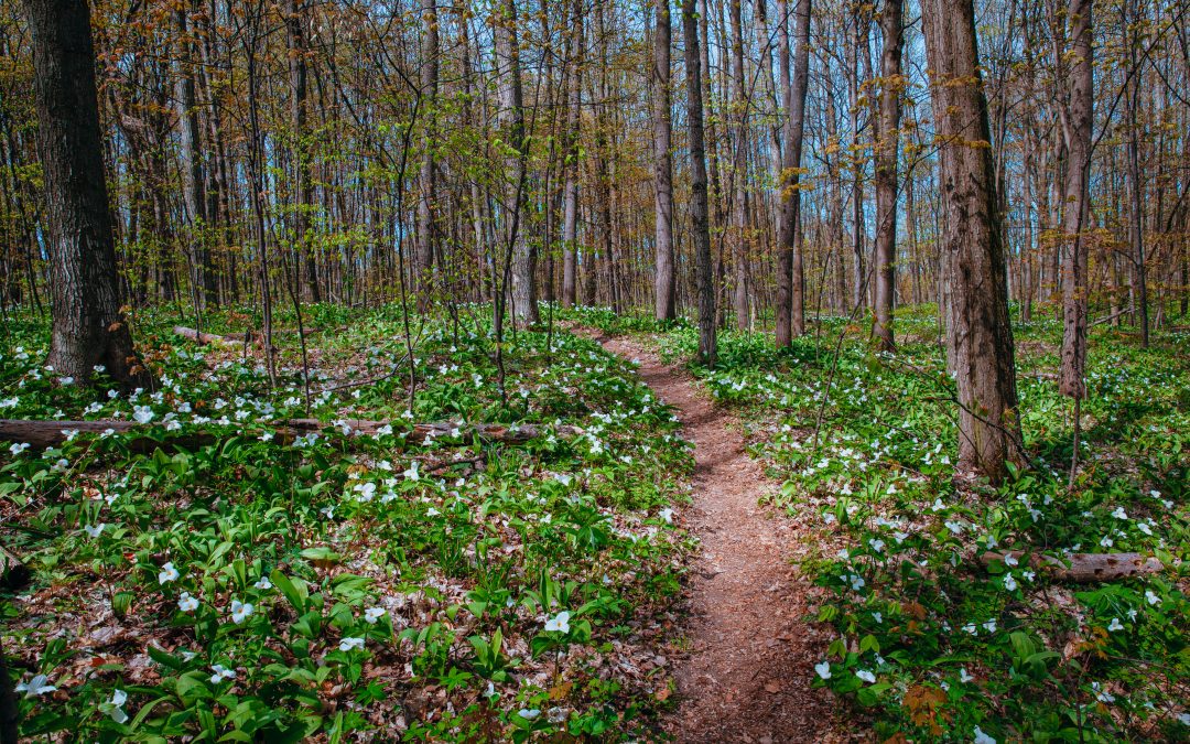 21 Northern Michigan Events to Explore This April 2023